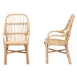 Bowery Hill Modern Bohemian Natural Brown Rattan Dining Chair