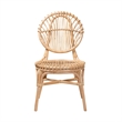 Bowery Hill Modern Bohemian Natural Brown Rattan Dining Chair