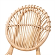 Bowery Hill Modern Bohemian Natural Brown Rattan Dining Chair