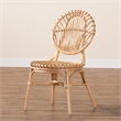 Bowery Hill Modern Bohemian Natural Brown Rattan Dining Chair