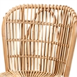 Bowery Hill Rattan Lounge Chair with Curved Backrest in Brown