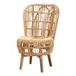 Bowery Hill Rattan Lounge Chair with Curved Backrest in Brown