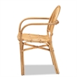 Bowery Hill Modern Bohemian Natural Brown Rattan Dining Chair