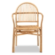 Bowery Hill Modern Bohemian Natural Brown Rattan Dining Chair