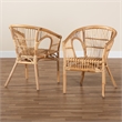 Bowery Hill Modern Natural Brown Rattan 2-Piece Dining Chair Set