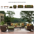 Bowery Hill Contemporary Brown & Green Wicker / Rattan Outdoor Loveseat