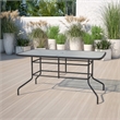 Bowery Hill Glass Clear Patio Table Rectangular Indoor Outdoor 55