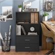 Bowery Hill Contemporary Stackable Wood 2-Shelf Bookcase in Black