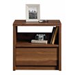 Bowery Hill Mid-Century Engineered Wood Nightstand in Grand Walnut