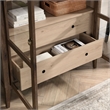 Bowery Hill Contemporary Storage Display Cabinet in Walnut Light Oak