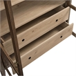 Bowery Hill Contemporary Storage Display Cabinet in Walnut Light Oak
