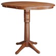 Bowery Hill Contemporary Extendable Bar Table in Espresso Finish