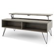 Bowery Hill Mango Wood Gray Coffee Table Rectangular Lift-Top Storage 48