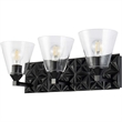 Bowery Hill Transitional 3-light Metal Bath Vanity Light in Matte Black
