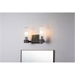 Bowery Hill 2-light Transitional Metal Bath Vanity Light in Black/Gray