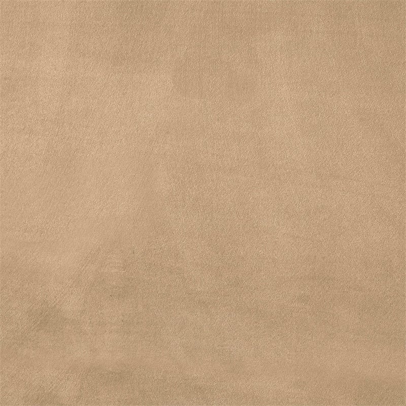 Bowery Hill Contemporary Beige Durable Velvet Twin Bed with Ball Shaped Legs