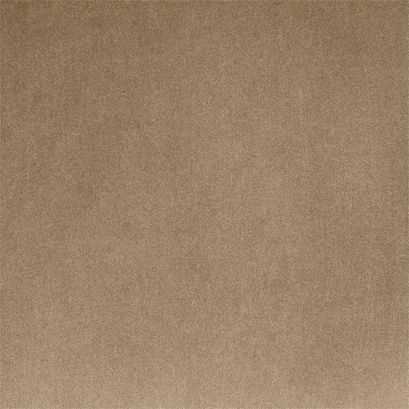 Bowery Hill Contemporary Rich Curves Beige Durable Velvet Sofa