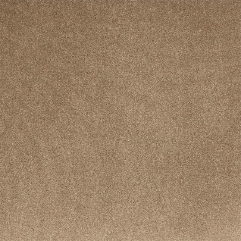 Bowery Hill Contemporary Beige Durable Velvet Upholstered Queen Bed