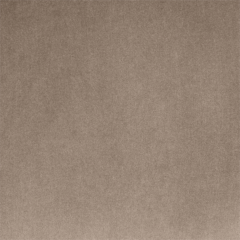 Bowery Hill Contemporary Taupe Durable Velvet Upholstered Queen Bed