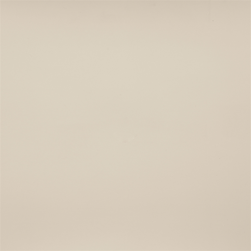 Bowery Hill Contemporary Beige Vegan Leather Upholstered Queen Bed