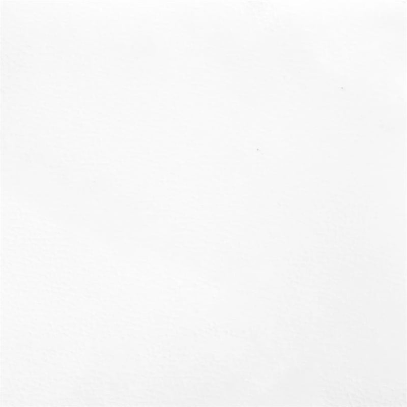 Bowery Hill Queen Faux Leather Engineered Wood Bed Frame in White