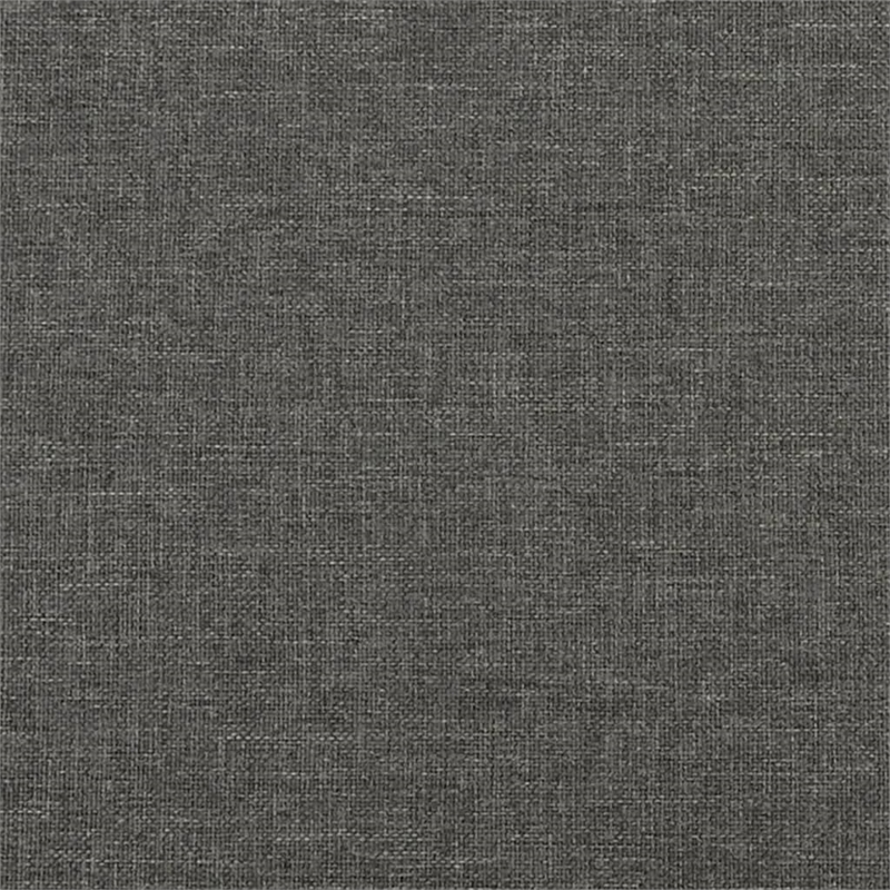 Bowery Hill Contemporary Twin XL Bed Frame without Mattress in Dark Gray