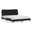Bowery Hill Contemporary Rectangular Queen Bed Frame in Black and White