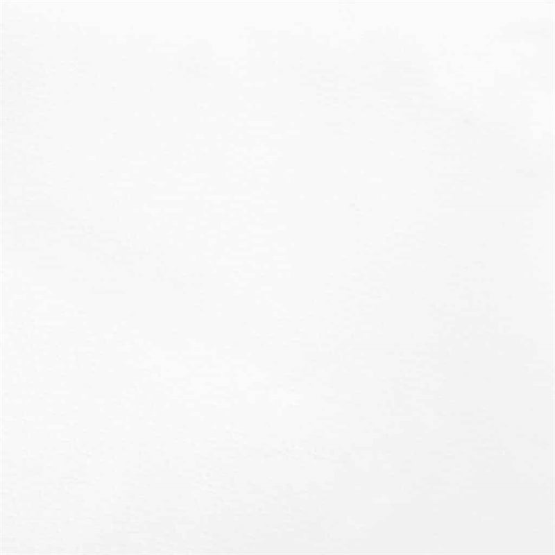 Bowery Hill Queen Faux Leather Engineered Wood Bed Frame in White