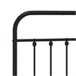 Bowery Hill Rectangular 76.0 x 80.0 Steel Bed Frame in Black