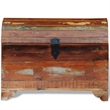 Bowery Hill Solid Reclaimed Wood Multicolor Storage Chest Rectangular 23.6