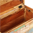 Bowery Hill Solid Reclaimed Wood Multicolor Storage Chest Rectangular 28.7
