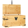 Bowery Hill Medium Solid Waxed Pinewood Storage Trunk in Brown