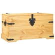 Bowery Hill Medium Solid Waxed Pinewood Storage Trunk in Brown