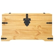 Bowery Hill Medium Solid Waxed Pinewood Storage Trunk in Brown