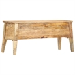 Bowery Hill Contemporary Medium Solid Mango Wood Storage Box in Natural