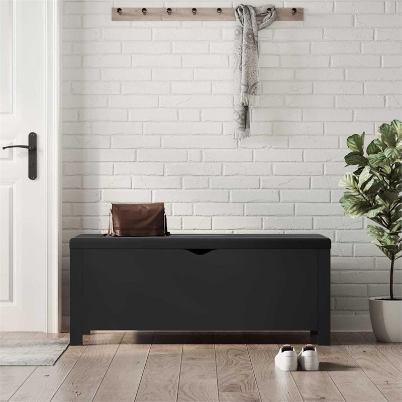 Bowery Hill Contemporary Engineered Wood Storage Box in Black