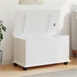 Bowery Hill Contemporary Solid Pine Wood Storage Chest in White
