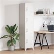 Bowery Hill Steel Medium Rectangular Industrial Locker Cabinet in Grey