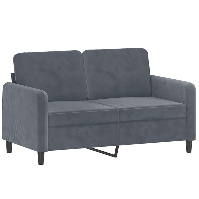 Bowery Hill Contemporary Velvet 2-Seater Sofa in Dark Gray Finish