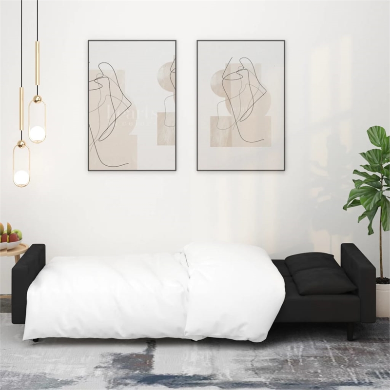 Bowery Hill Contemporary 2-Seater Sofa Bed in Black Finish Velvet