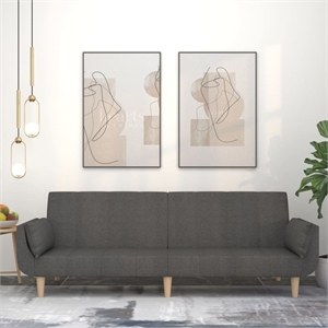 Bowery Hill Contemporary Sofa Bed in Dark Grey Finish Fabric