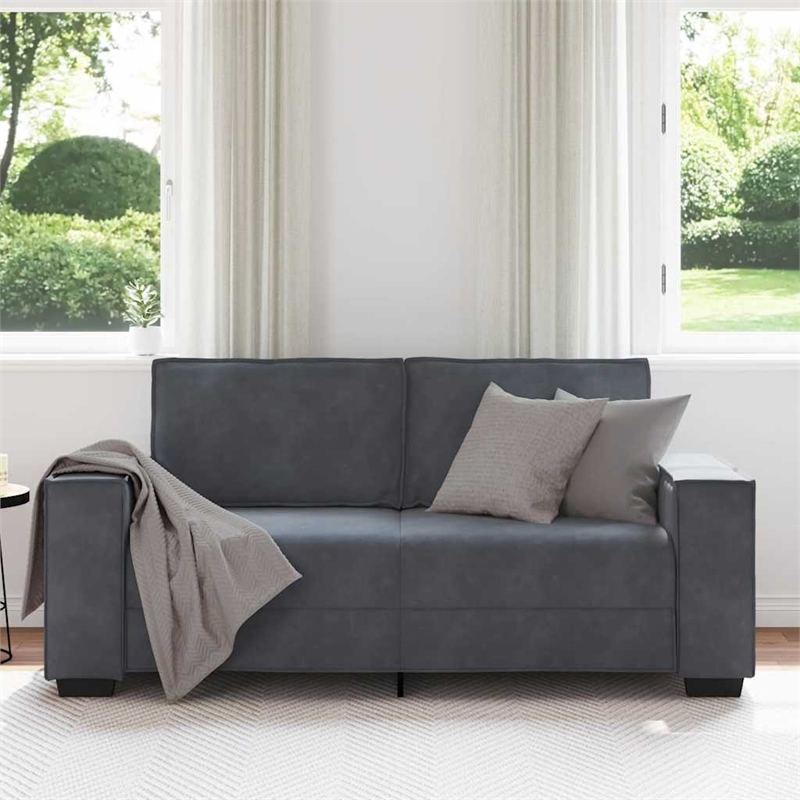 Bowery Hill Contemporary 2-Seater Sofa in Dark Gray Finish Velvet