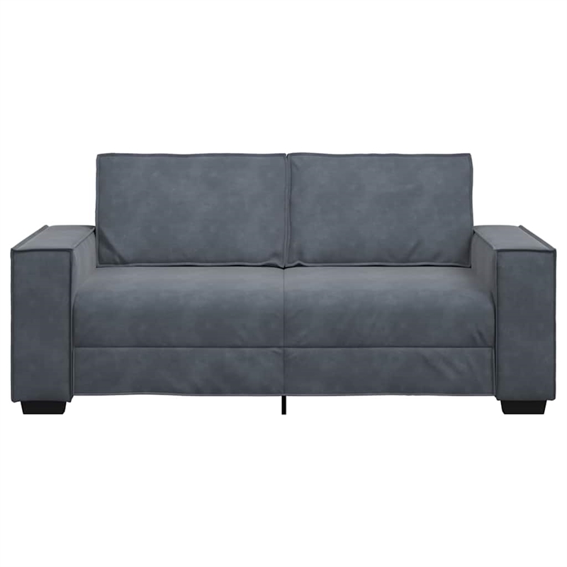 Bowery Hill Contemporary 2-Seater Sofa in Dark Gray Finish Velvet