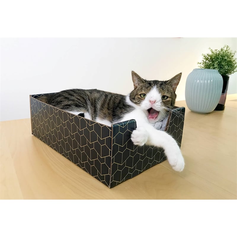 Bowery Hill Purrfect Premium Cardboard Peek-a-Boo Cutout Cat Box in Blue
