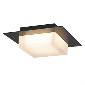 Bowery Hill Modern 8-inch Stainless Steel LED Outdoor Flush Mount in Black