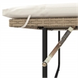 Bowery Hill Contemporary Synthetic Poly Rattan Patio Sofa in Beige