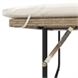 Bowery Hill 2-Seater Convertible Poly Rattan Patio Sofa in Beige