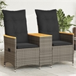 Bowery Hill 2-Seater Standard PE Rattan Reclining Garden Sofa in Gray