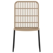 Bowery Hill PE Rattan/Powder-Coated Steel/Glass Dining Set in Oak/Black