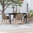 Bowery Hill Poly Rattan Medium Garden Dining Set in Brown and Black
